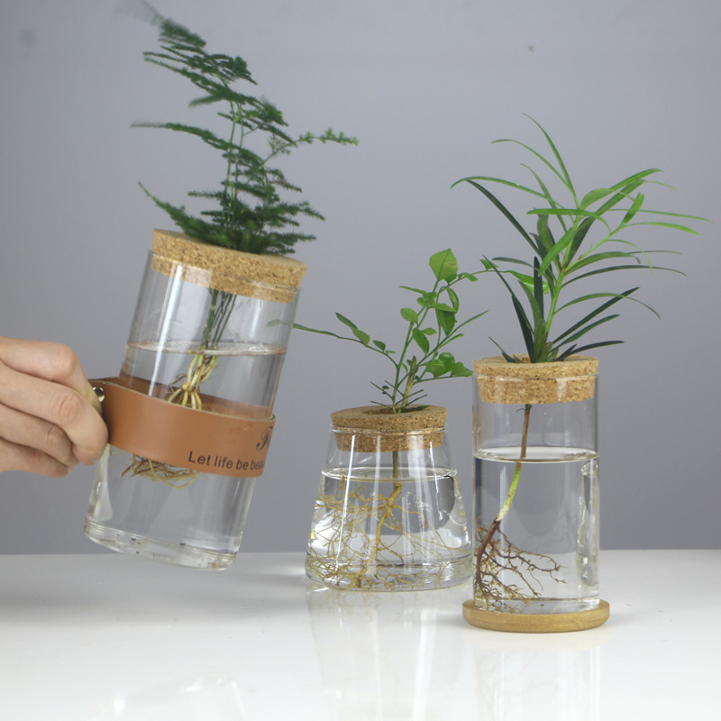 Creative hydroponic glass vase transparent micro-landscape ecological fish tank ornaments pothos water-cultured plant flower arrangement crafts