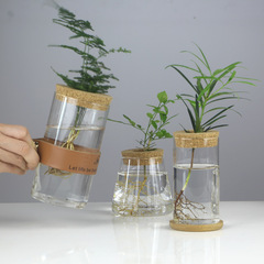 Creative hydroponic glass vase transparent micro-landscape ecological fish tank ornaments pothos water-cultured plant flower arrangement crafts
