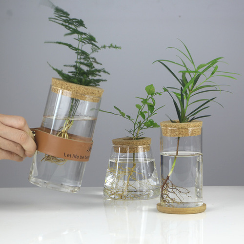 Creative hydroponic glass vase transparent micro-landscape ecological fish tank ornaments pothos water-cultured plant flower arrangement crafts