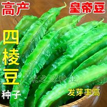 xⶹN߮aĽǶʵ۶N̨ļ߲˷N