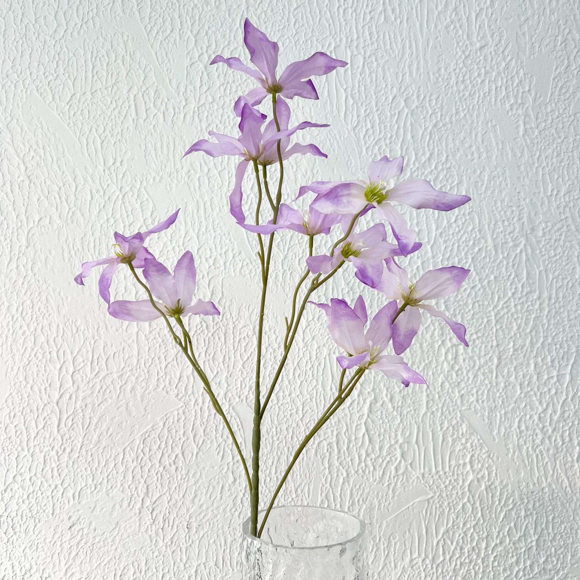 Lirio de Orquídea de color lila claro