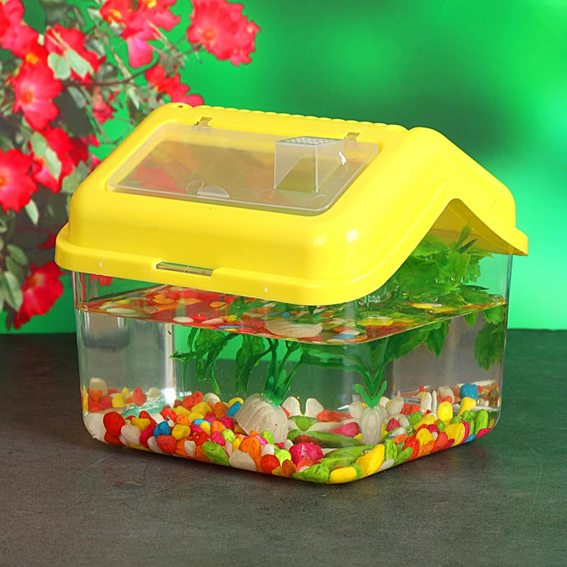 Handheld house, storage box, pet