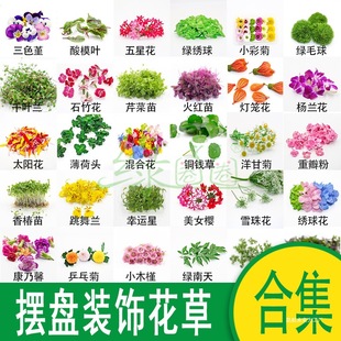 ���r�[�P�b��ݺϼ� ���ϴ��������b� �Ƶ���˔[�P�b���