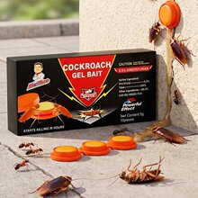 �羳���QӢ�İ����ș�T�D��߻�x��0.5%Λρș�N��������ú��¿�