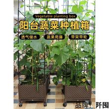 种植箱阳台种菜专用爬藤架蔬菜葡萄架花盆架子庭院藤架黄瓜杆支架