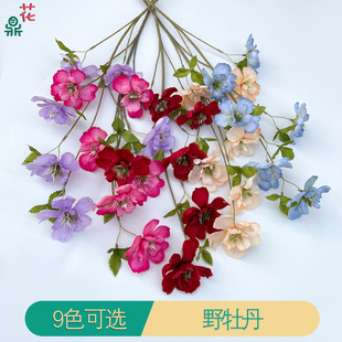 ��֦Ұĵ�� ���¸�ɣ�� ��ɫ��Y�����b��� �Ƶ��픻��ļٻ�
