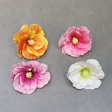 �����ָ��z����������m�� ���ô����^ �^�l�A�b�Y�b�