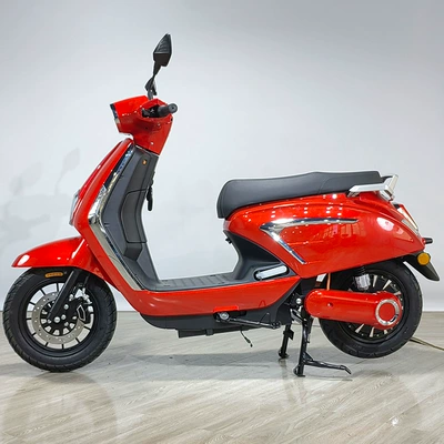 E-Bike Adult | Motuoche Auto Parts and Accessories