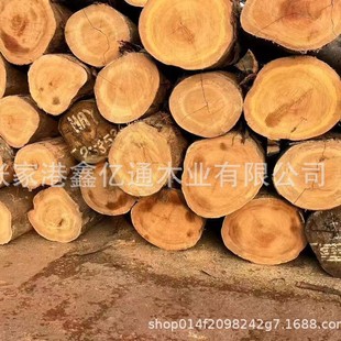 �SӲľ �S̴ľԭľ��� �S����ľ�� �ӹ��������ľ���� �͵�ľ��