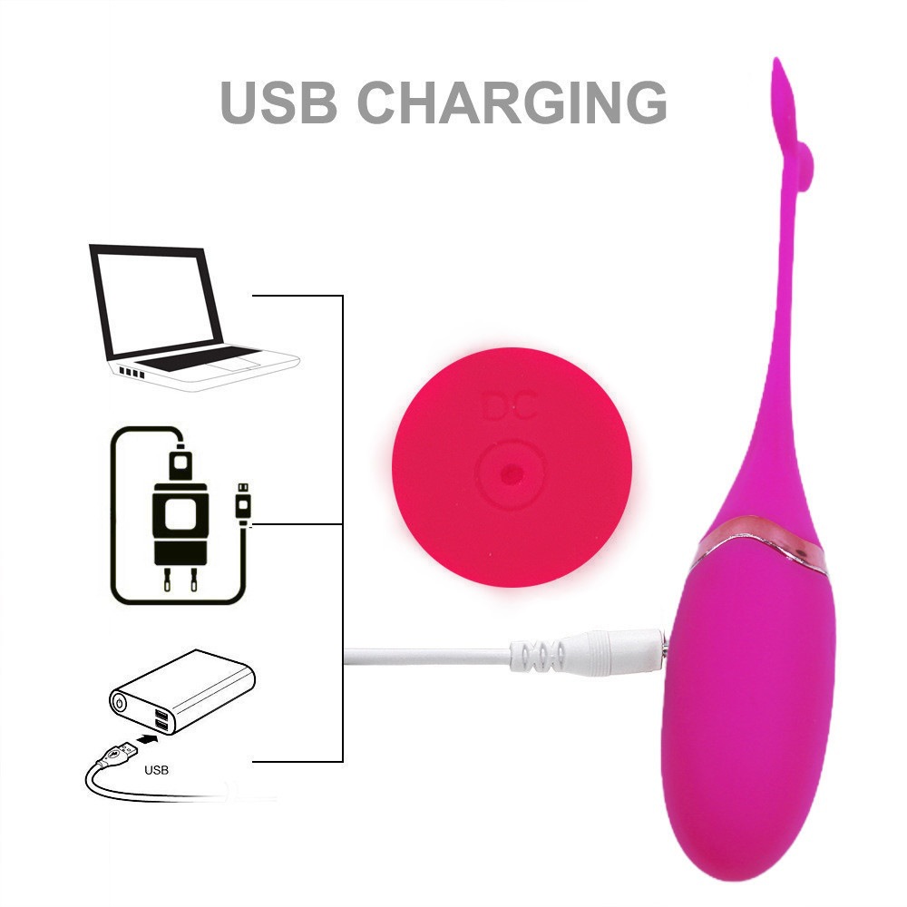 Trứng Rung Cá Heo Có Remote