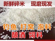 廠家碎米批發 釀酒食用磨粉熬粥 魚餌打窩飼料碎米散裝大量供應
