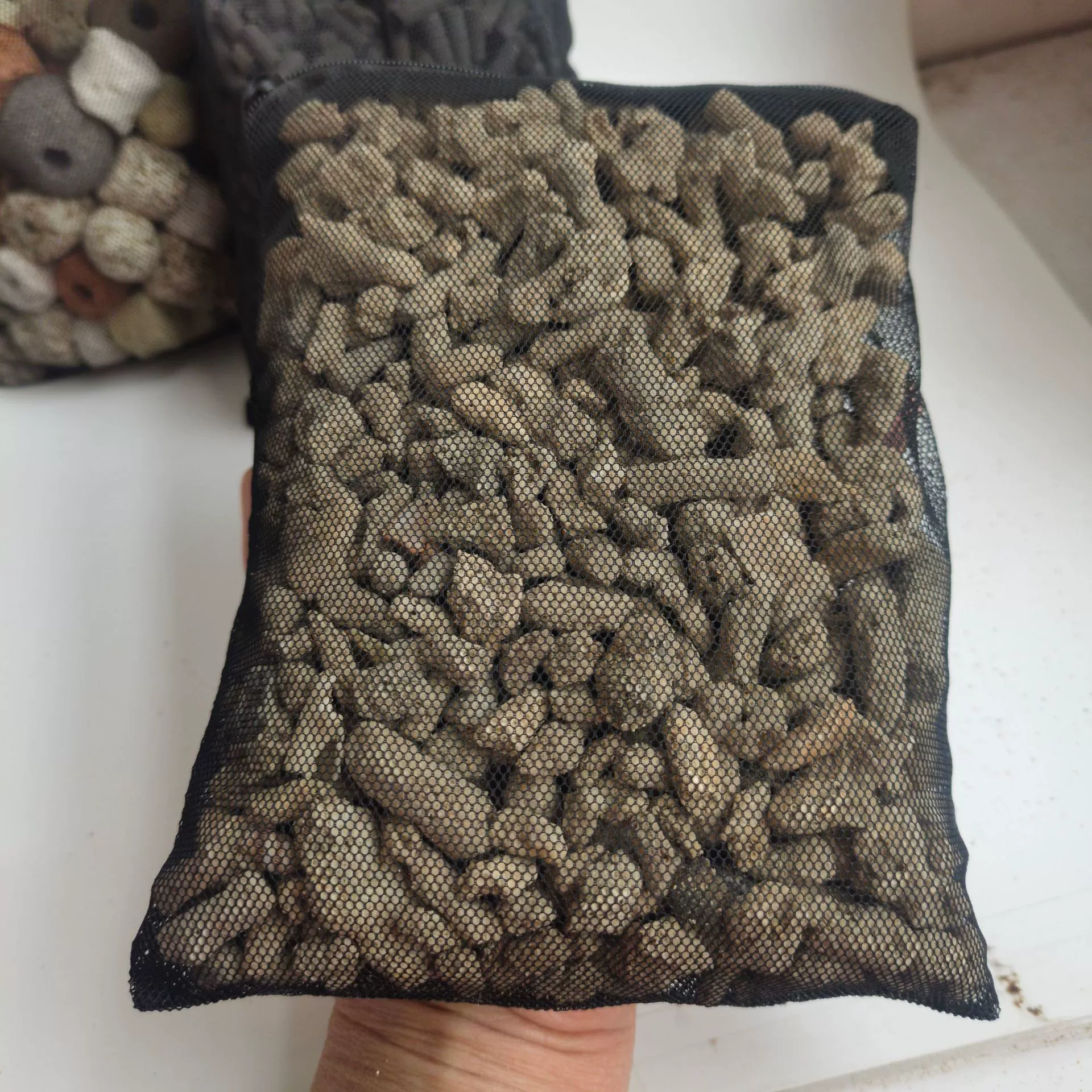 Коралловый морской большой аквариум, оптом