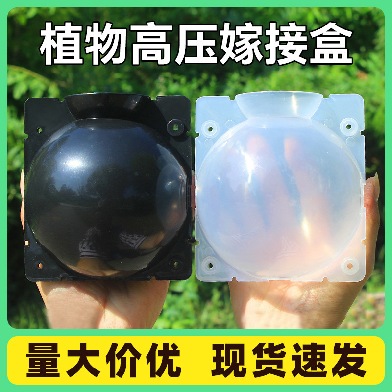 Caja de cultivo de enraizamiento, arboreto, rama, paquete de alta presión, control de rama, injerto de rama, herramientas de jardinería, molde de alta presión