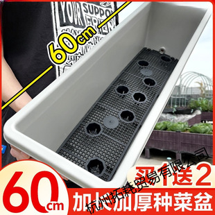 �L�������ϻ���ݮ�Nֲ���ͥ�N�����̨�N�����L�l�������ռ{