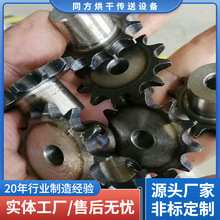 供应08B双节距多齿链轮 动力滚筒传动齿轮 冷饮机械尺寸定制加工