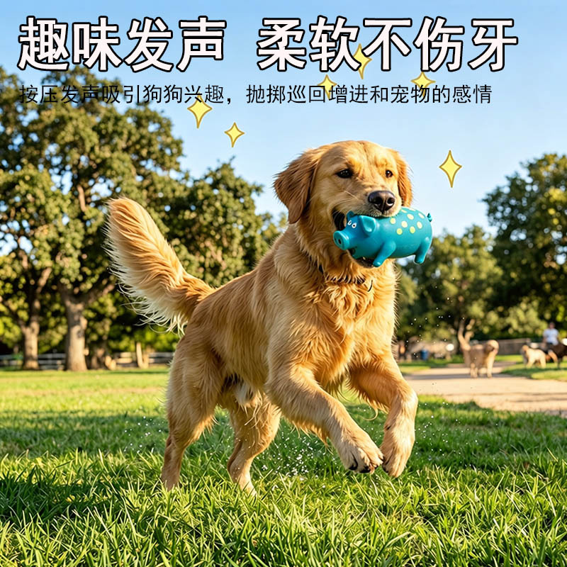 商品图