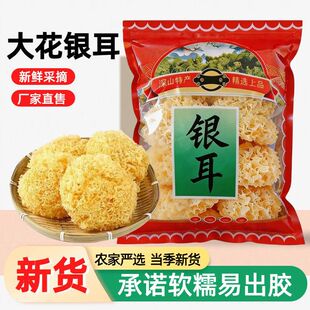 ������y����؛���zŴ��ѩ����ľ���y��ɏ�Ӹ�������؛�r�aƷ
