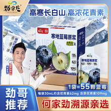 劲家庄蓝莓原浆批发寒地蓝莓原浆花青素NFC鲜果鲜榨浓缩蓝莓原浆