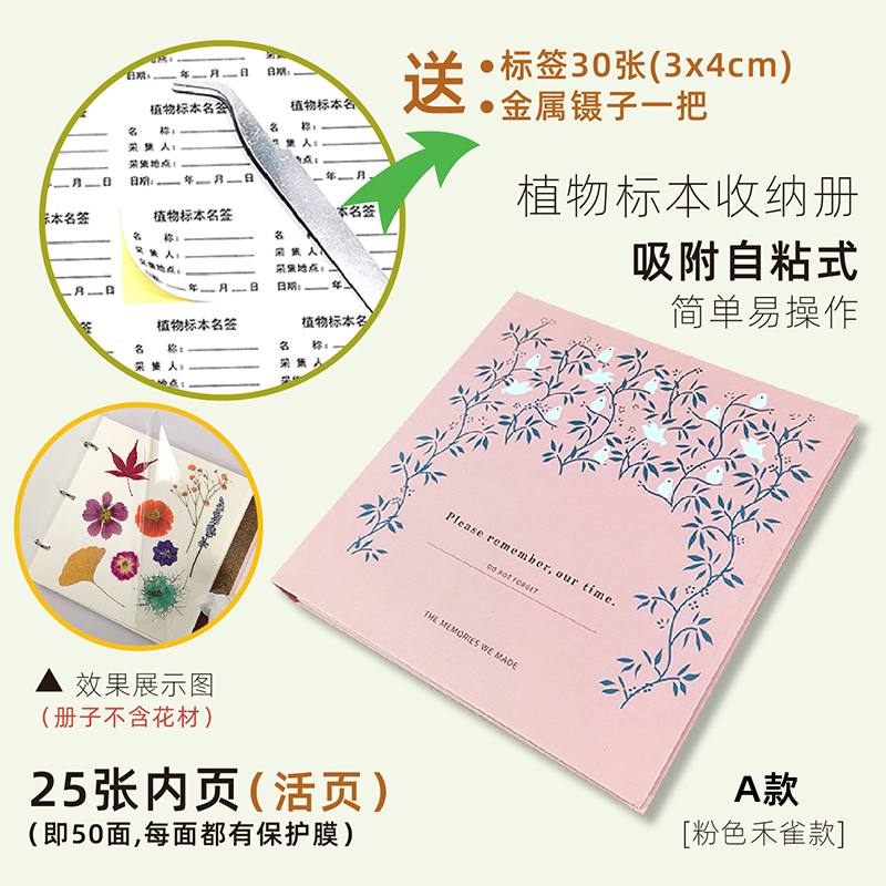 핑크파비아(A형) 표본은 포함되지 않습니다.