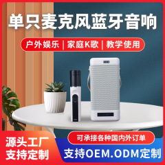 W300 ポータブルインターネット有名人屋外カラオケオーディオワイヤレスマイクモバイル KTV ハイパワー Bluetooth 小型スピーカー