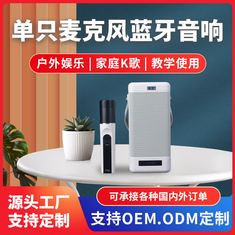 W300 ポータブルインターネット有名人屋外カラオケオーディオワイヤレスマイクモバイル KTV ハイパワー Bluetooth 小型スピーカー|undefined