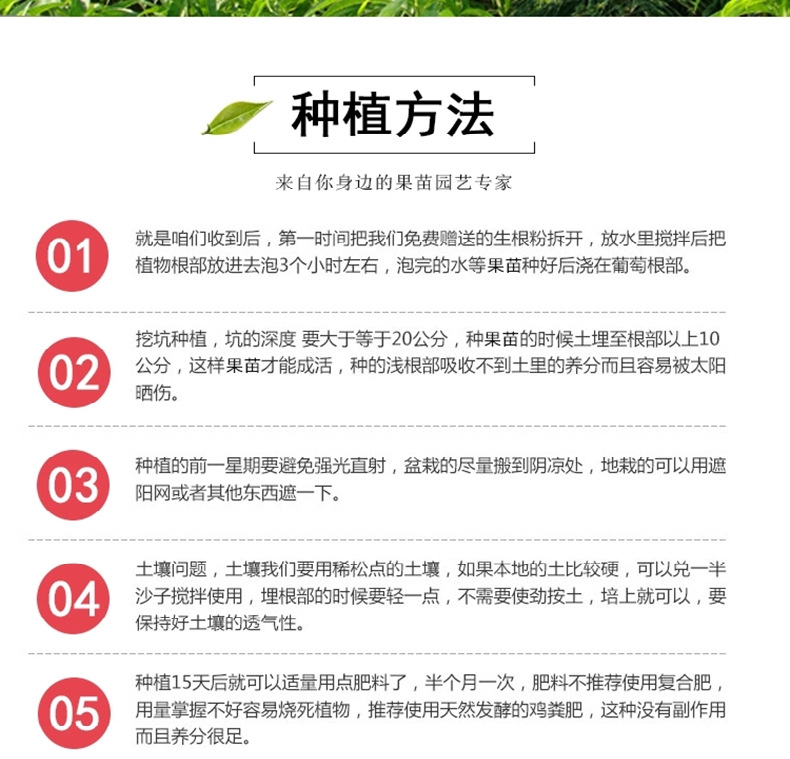 阿里种植方式-1