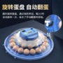 家用智能自动小飞碟孵蛋器
