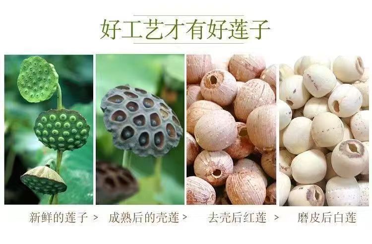Dried Lotus Seeds Lian Zi 500g Hand Peeled Core Removed Hunan Herb in use