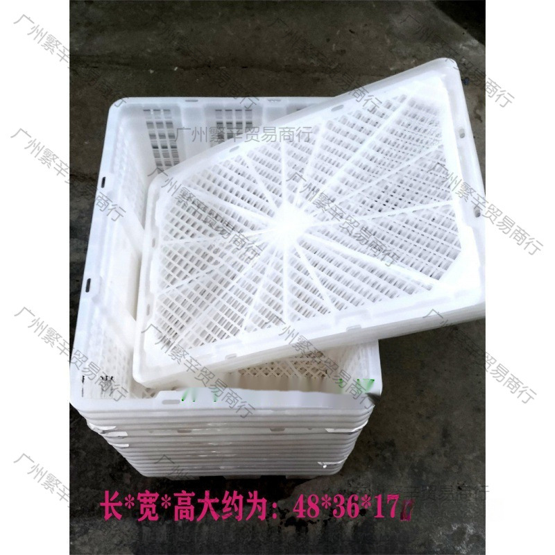 二手莓采摘框桑葚一次性塑料框运输筐龙眼鸽子鸡宠物快递海鲜8字