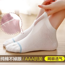 新疆棉袜子女春夏新款莫兰迪日系浅口袜纯色透气网眼船袜隐形女袜
