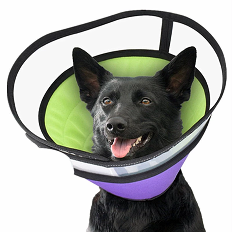 Трансграничная горячая Распродажа ошейник для стерилизации собак послеоперационный ошейник для собак с конусом для собак Мягкий ошейник для восстановления Элизабет