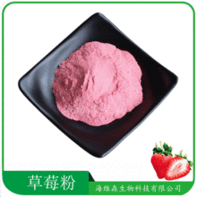 果粉 食品應用草莓藍莓菠蘿檸檬山楂甜橙櫻桃蘋果粉 果蔬粉水果粉