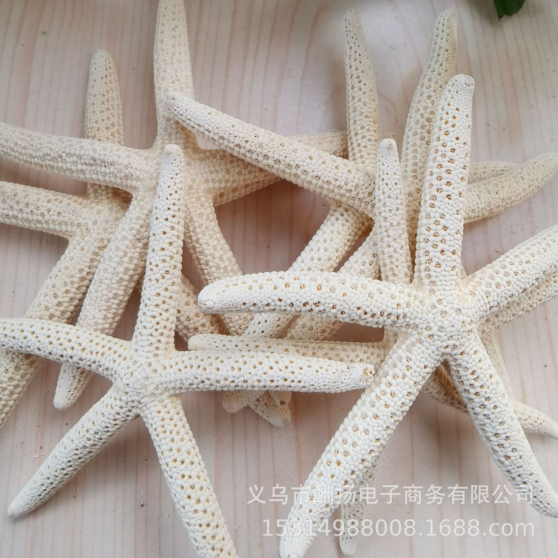11-14cm five-fingered starfish 1 piece