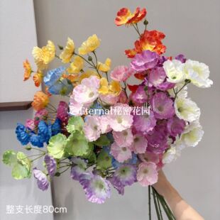 12�^���ڷ��滨�߼��ж��^������·���廨��Y�õ���b������l