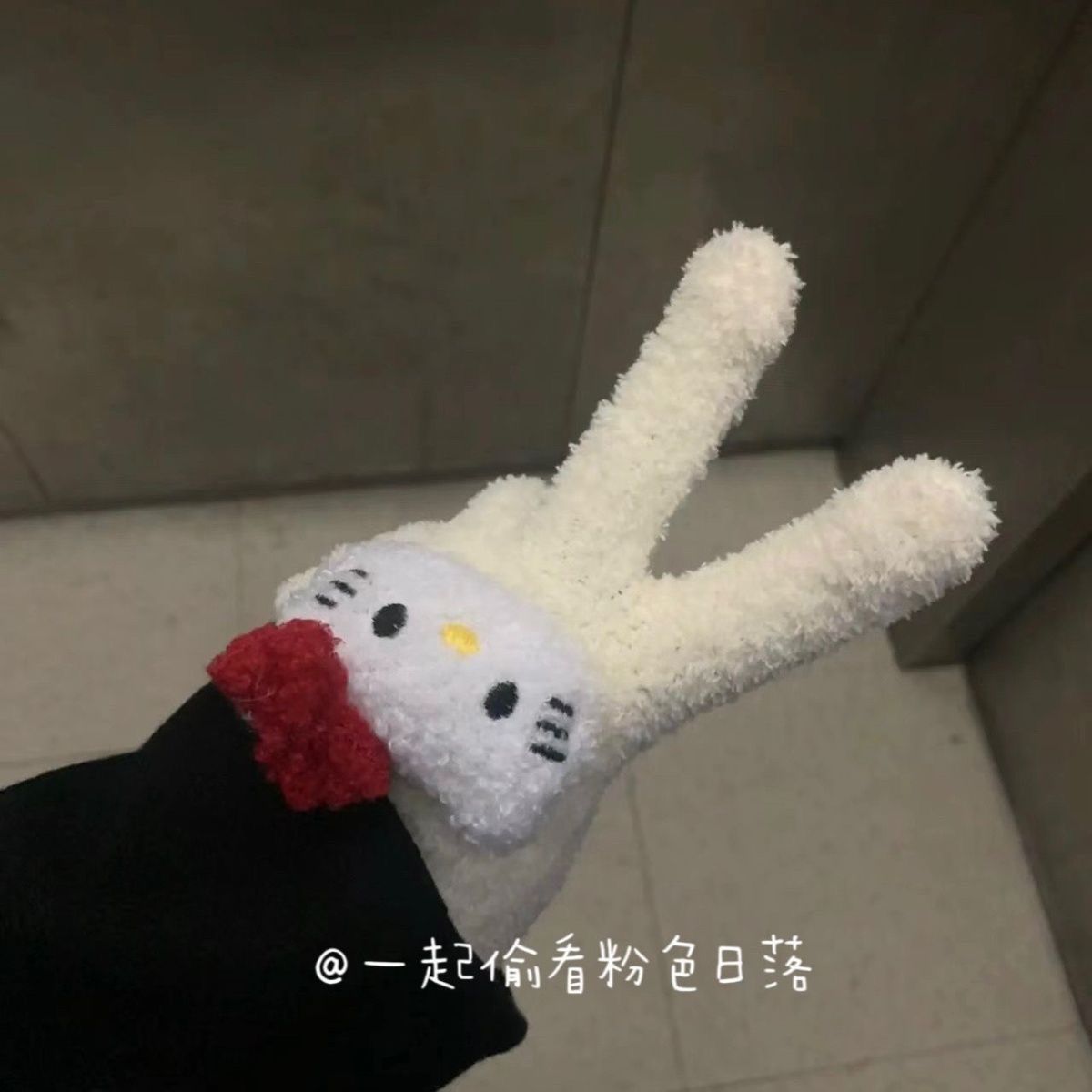 헬로 키티 장갑과 함께 작은 빨간 책 겨울 따뜻한 산호 양털 사탕 컬러 봉제 5 손가락 고등학교 학생 조수