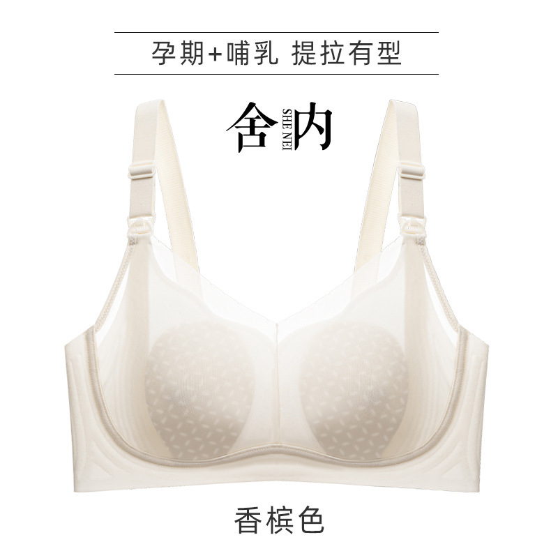 샴페인