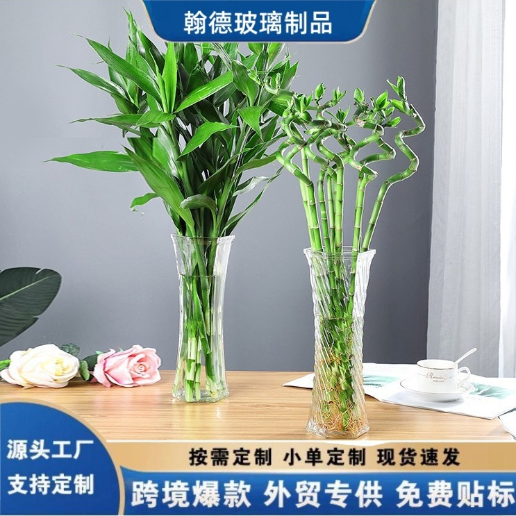 Wabi-Sabi Style Simple and Elegant Bamboo Glass Transparent Vase Lily Hydroponic Modern Living Room Tabletop Flower Arrangement Green Plant