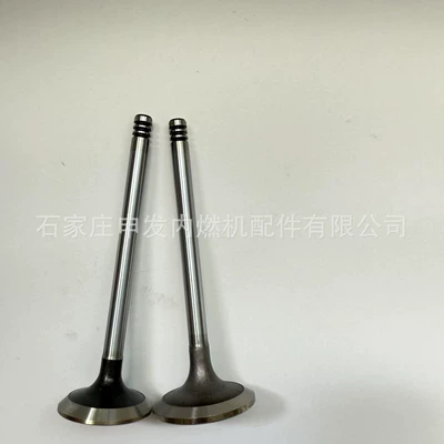 04283708, exhaust valve – Valves and components