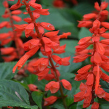 ������ͥԺ�׻�һ���t�N�Ӱ����t�N��