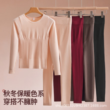 保暖美体内衣中厚秋衣秋裤套装女圆领抗静电半高领棉毛衫裤