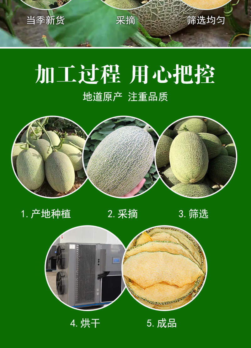 Xinjiang Hami Melon Slices (Cucumis melo var. saccharinus) — Dried Fruit Snack, 500g Bulk in use