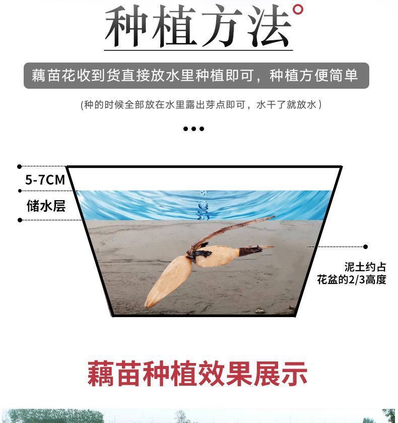 121bb817-a770-4e24-a5ae-08db2a10994c.jpe