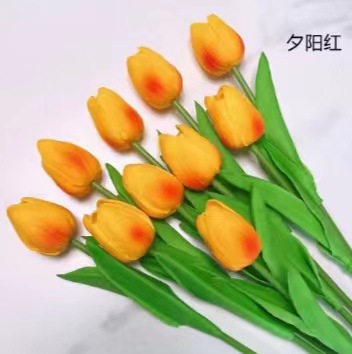 ba031cd326ab0838d0a60d0c8fc745