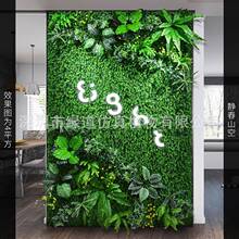 ���o��ɽ�ա�����ֲ�1ƽ���ٲ�ƺ����������ֲ��������m�G�~