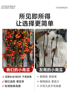 ?С�Ϲ��r���^�p�廨��ϻ���ֱ�lˮ����֦�����҃Ⱥ��B�Gֲ���b