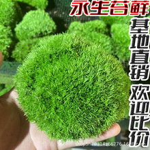 ����̦�\�����װl�\��������\�҃��쾰��̦�҃��b�����̦�\ܛ�b