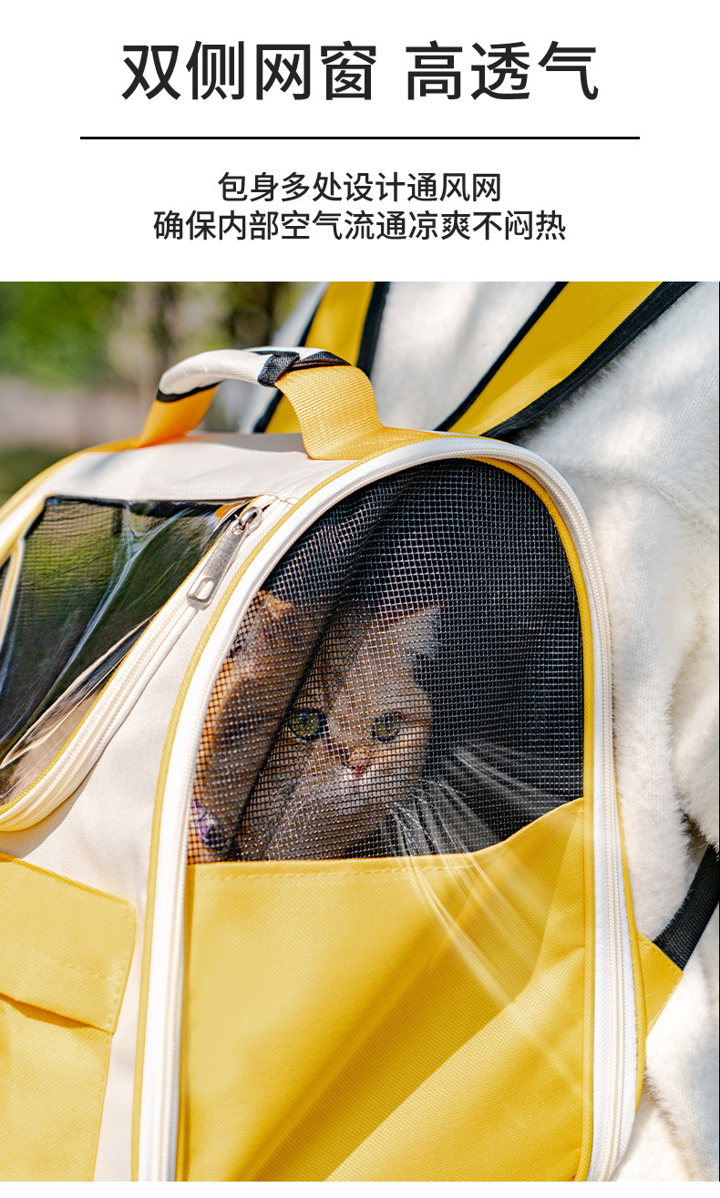 761938c2-34fc-49c7-9df4-c92f7113eb85.jpe