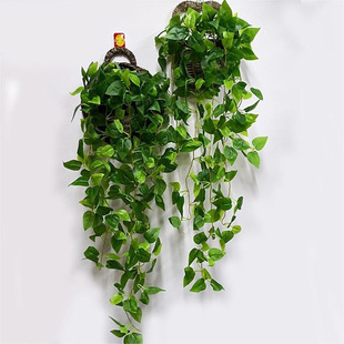 ���滨���m�~���z���ڒ��~�ټҾӠ����bG�}�~�����b��~�ٽ���