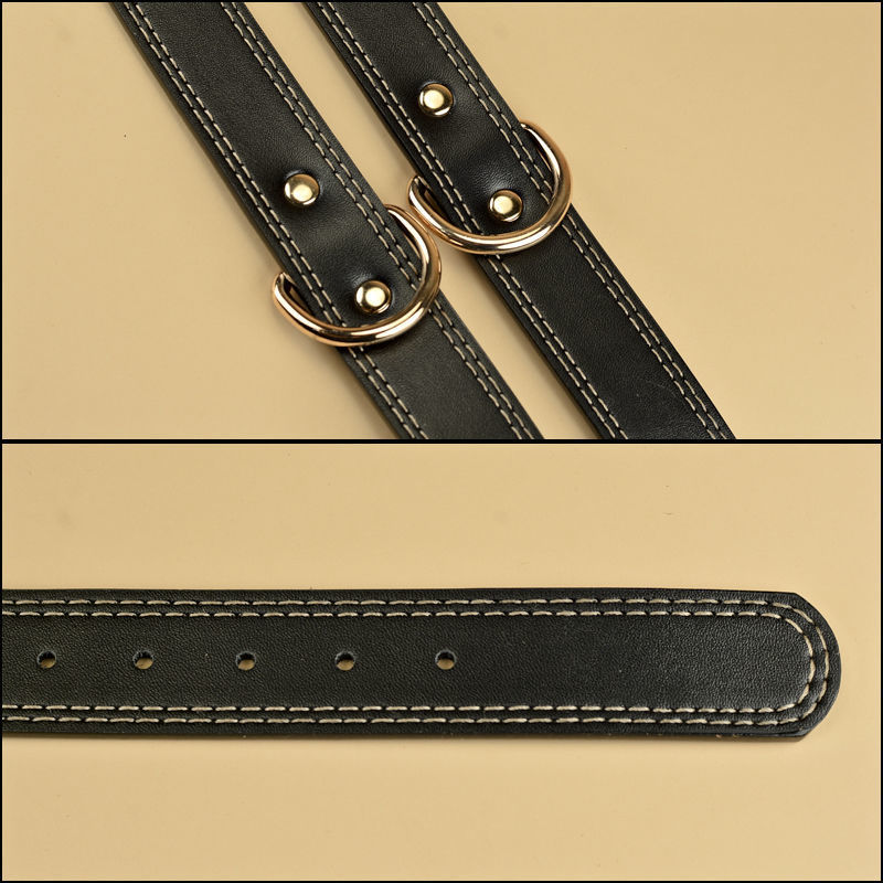 Dog Collar 2