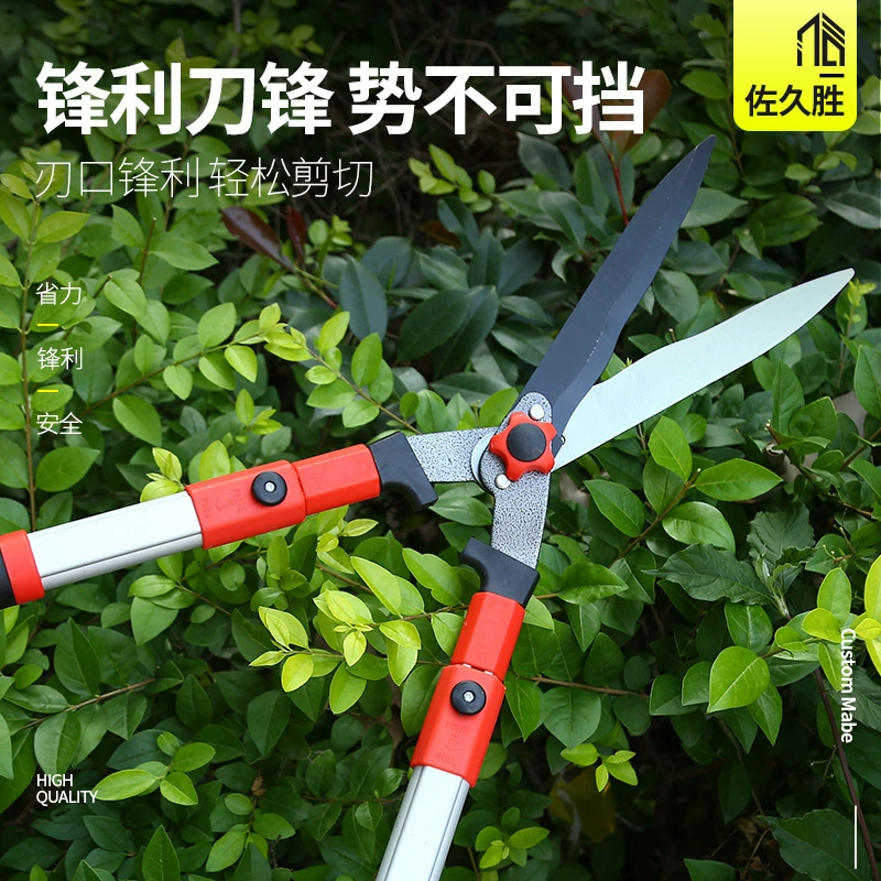 Зеленая изгородь с высокими ветвями, обрезка веток, обрезка, обрезка, обрезка, обрезка, садоводство, садовые ножницы